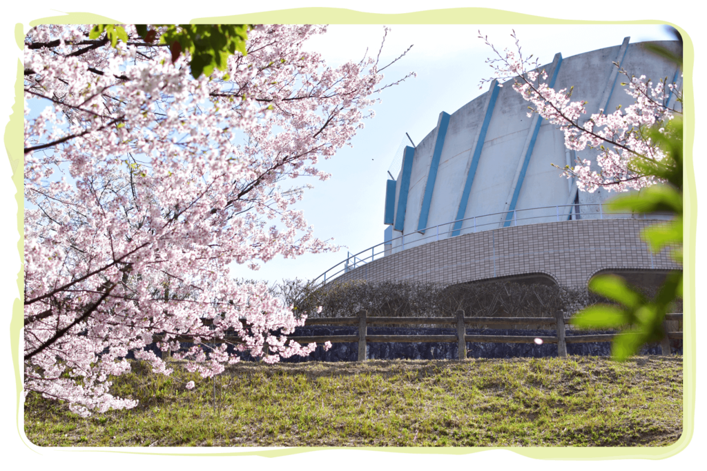 日本、瀬戸内香川のさくら100選_前山公園art003